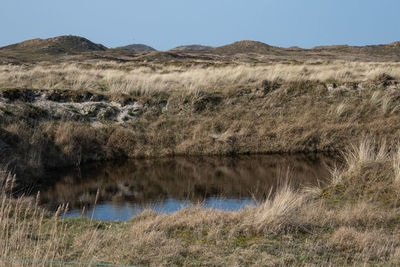 Scenic view of landscape against clear sky