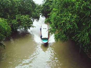 Boat sailing on river amidst trees