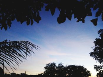 Low angle view of silhouette trees against blue sky