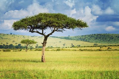 Scenic view of field against cloudy sky