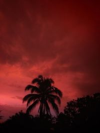 Low angle view of silhouette palm trees against sky at sunset