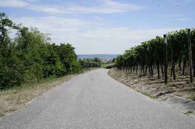 Road amidst trees against sky