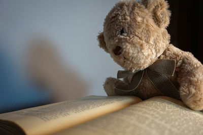 Close-up of stuffed toy on book