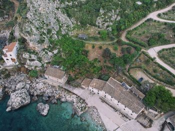 High angle view of river along plants