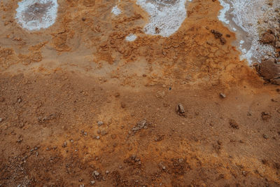 soil