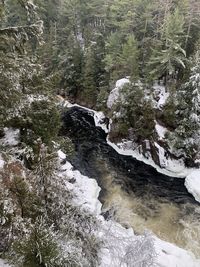 Stream flowing through rocks in forest