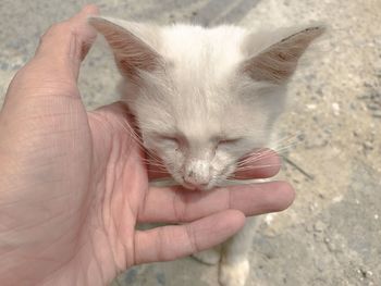 Close-up of hand holding hands