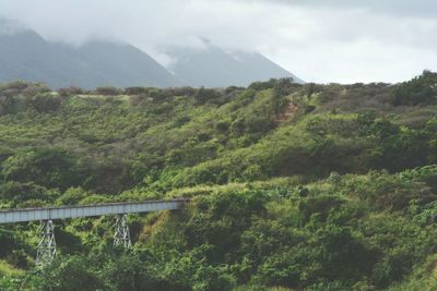 Scenic view of mountains