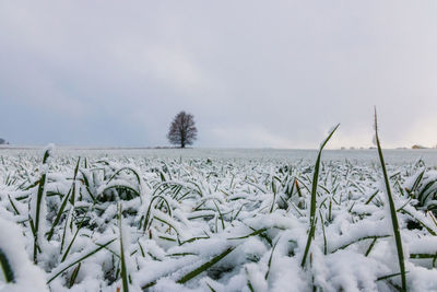 Scenic view of snow covered field against sky