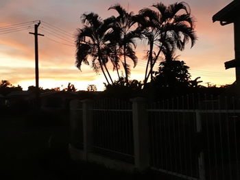 Silhouette palm trees against sky during sunset