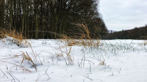 Scenic view of frozen landscape against sky