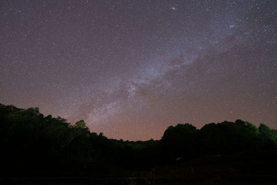 Scenic view of silhouette trees against star field at night