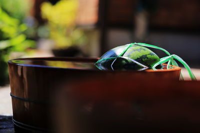 Close-up of drink on table