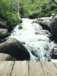 Scenic view of waterfall in forest