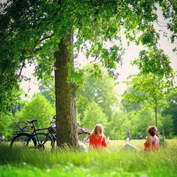 People sitting on grassy field