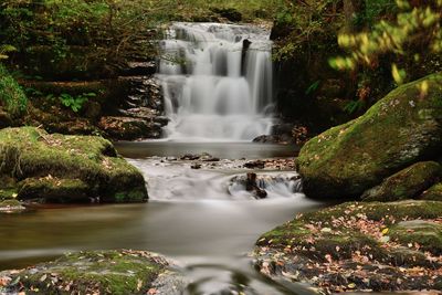 Scenic view of waterfall