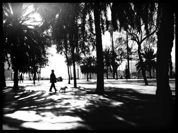 People walking on tree trunk