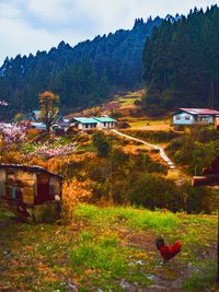 Trees and houses by mountains against sky