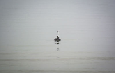 Sea fishermen