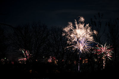 Low angle view of firework display at night