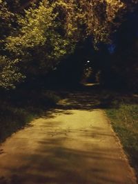 Footpath along trees