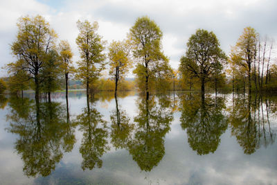 Reflection of trees in lake against sky