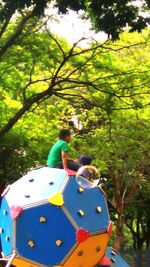 Rear view of people and son on tree