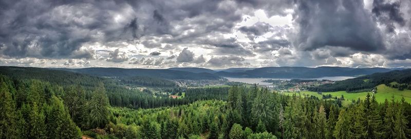Panoramic view of agricultural field against sky