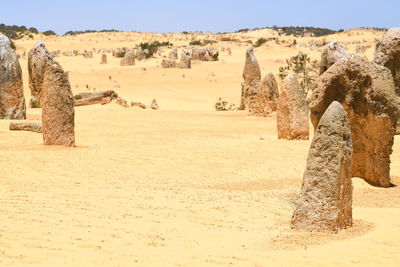 Panoramic view of desert