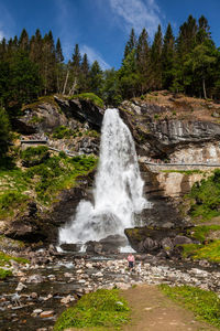 Scenic view of waterfall in forest