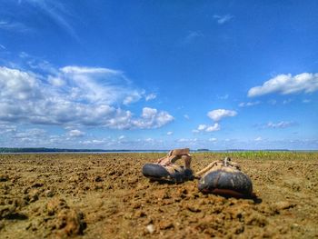 Scenic view of beach on field against sky