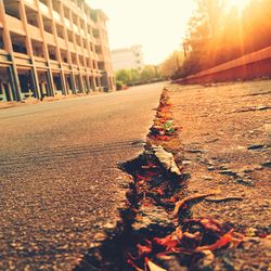 View of street in autumn