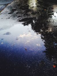 Reflection of clouds in water