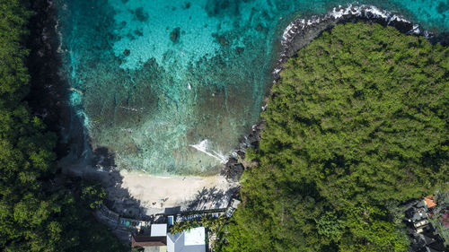 High angle view of trees on sea