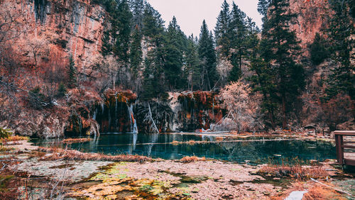 Scenic view of lake amidst trees in forest