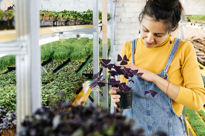 Young female farmer growing microgreens on her indoor vertical garden. happy woman looking