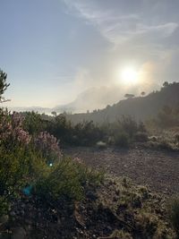 Scenic view of landscape against sky