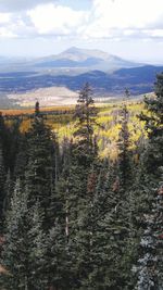 Scenic view of forest again mountain landscape