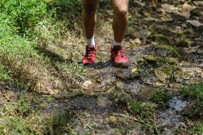 Low section of man walking in forest