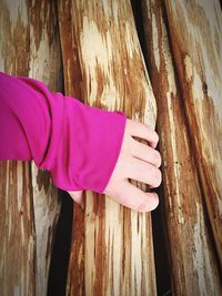 Close-up of hand holding umbrella on tree trunk