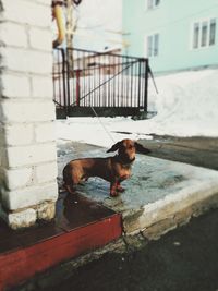 Close up of white background