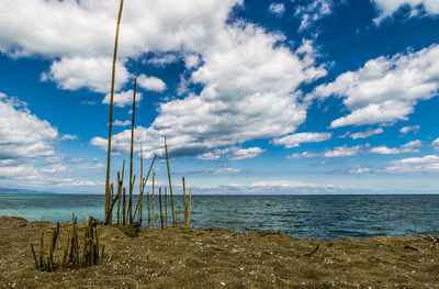 Scenic view of beach against sky