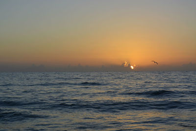 Silhouette bird flying over sea against sky during sunset