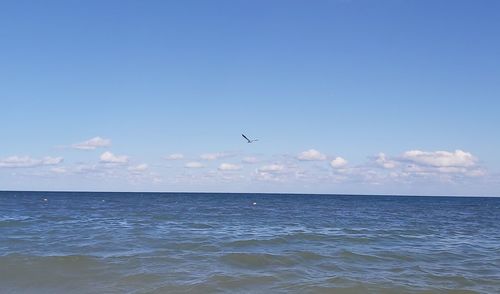 Seagull flying over sea against sky