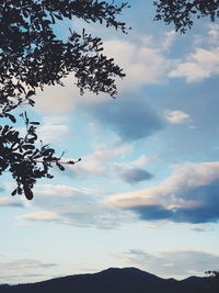 Low angle view of silhouette tree against sky