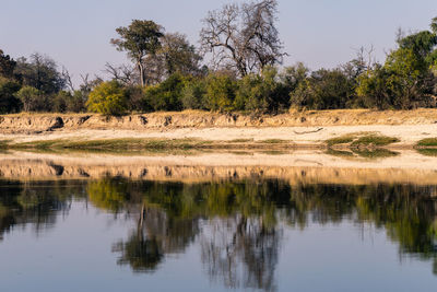 Reflection of trees in calm lake