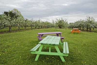 Empty chairs and table on field against sky