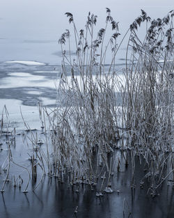 Frozen lake against sky during winter