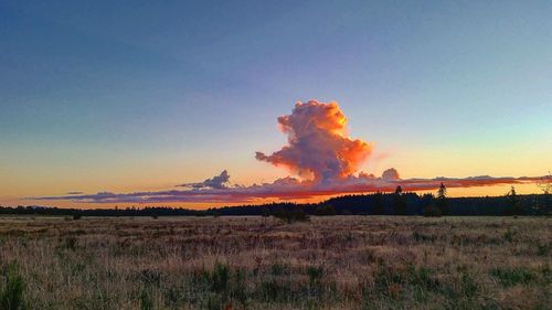 Scenic view of sky