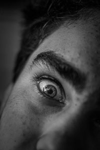 Close-up of human eye